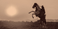 MF Western Products